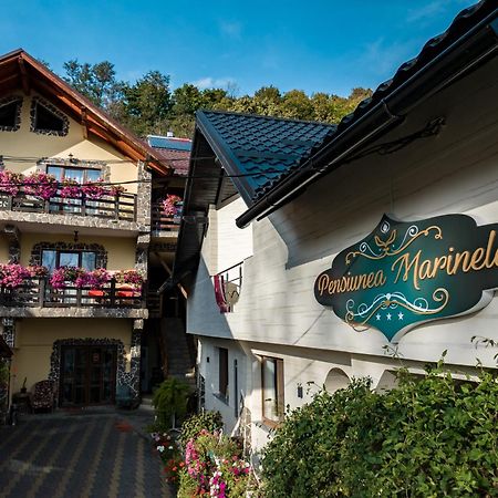 Pensiunea Marinela Сигету-Мармацией Экстерьер фото